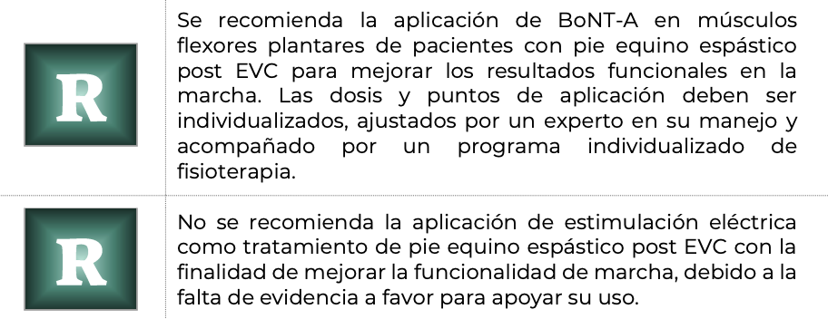 15. Fisioterapia 10 - GPC-DIF-331-21
